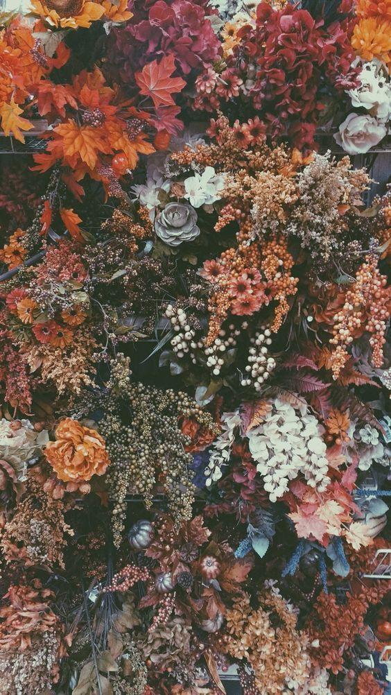Harmony Spirit: Exquisite Flora Overture