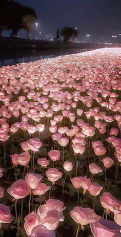 Whispering Meadow: A Symphony of Blooms
